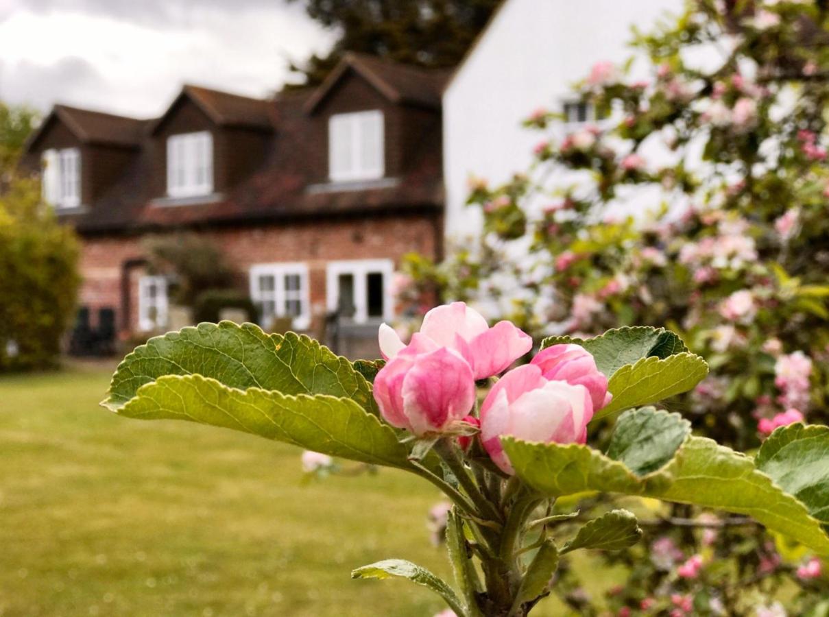 Bed and Breakfast Hanger Down House Bed&Breakfast Arundel Exterior foto